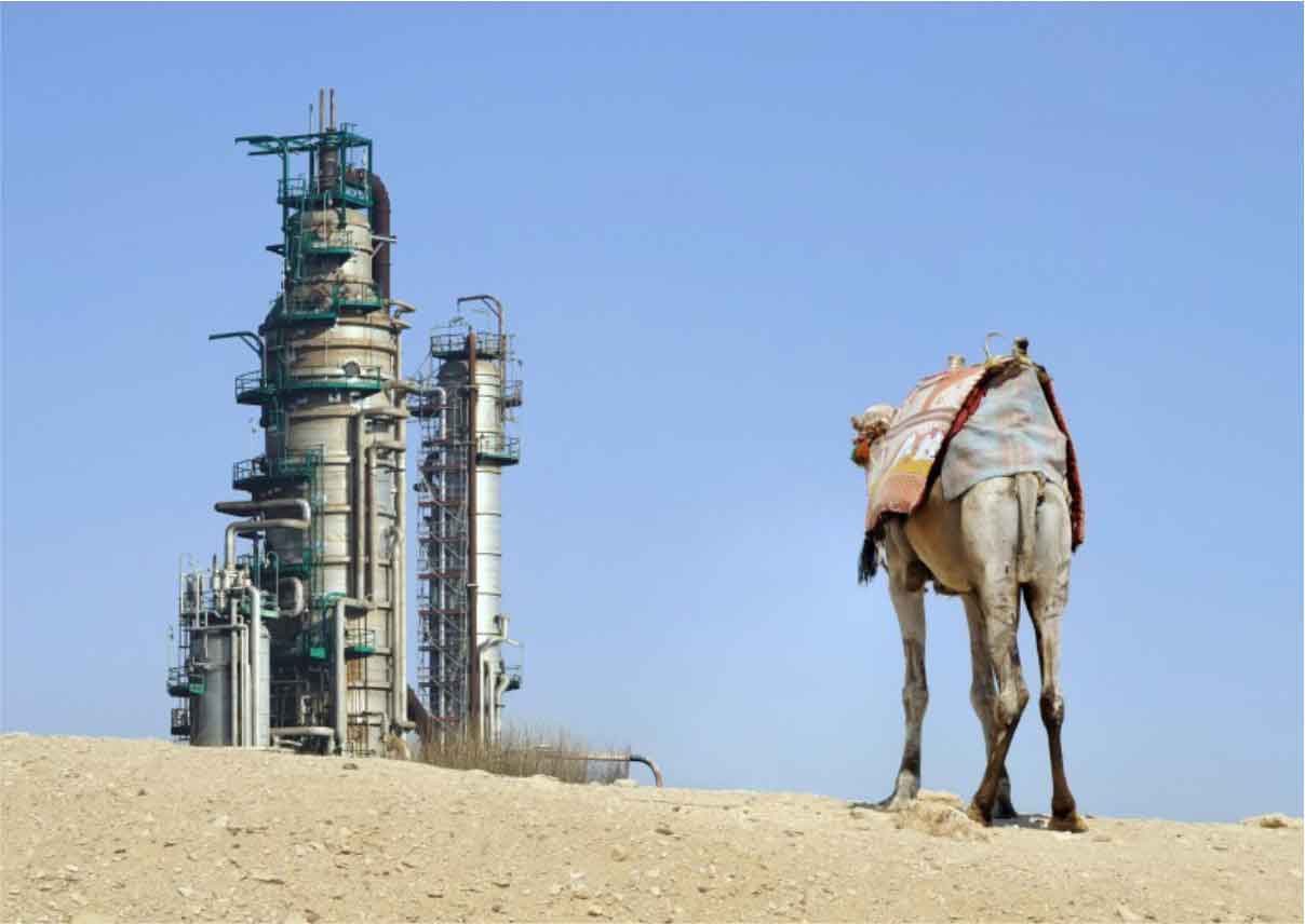 The Underdeveloped of Muslim Countries: An Economical Reasoning