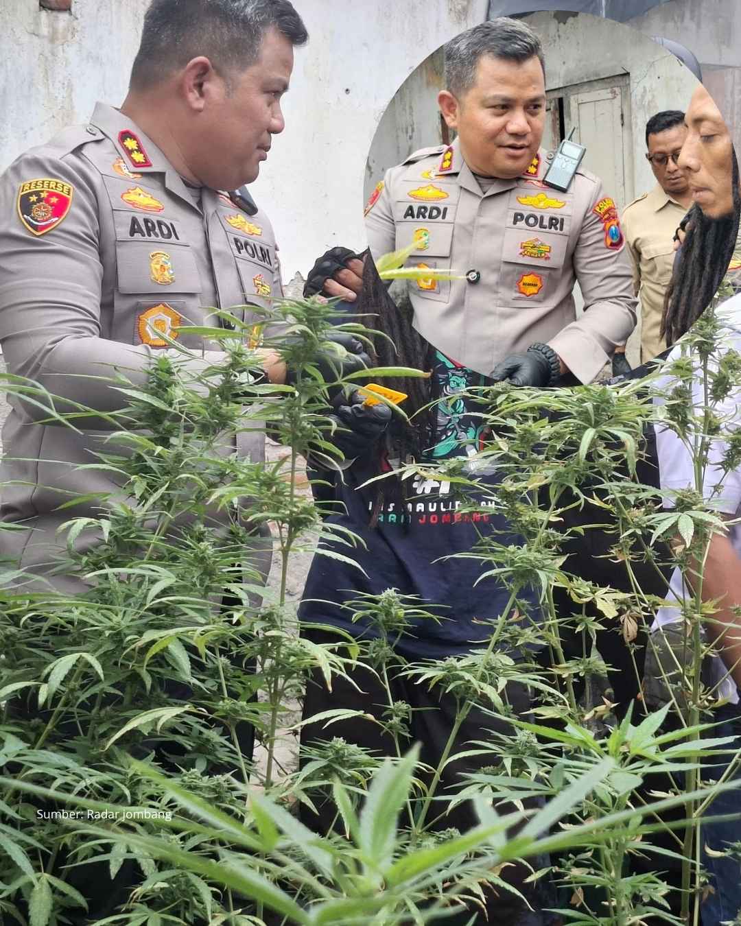 Di dalam Rumah Ada Kebun Ganja