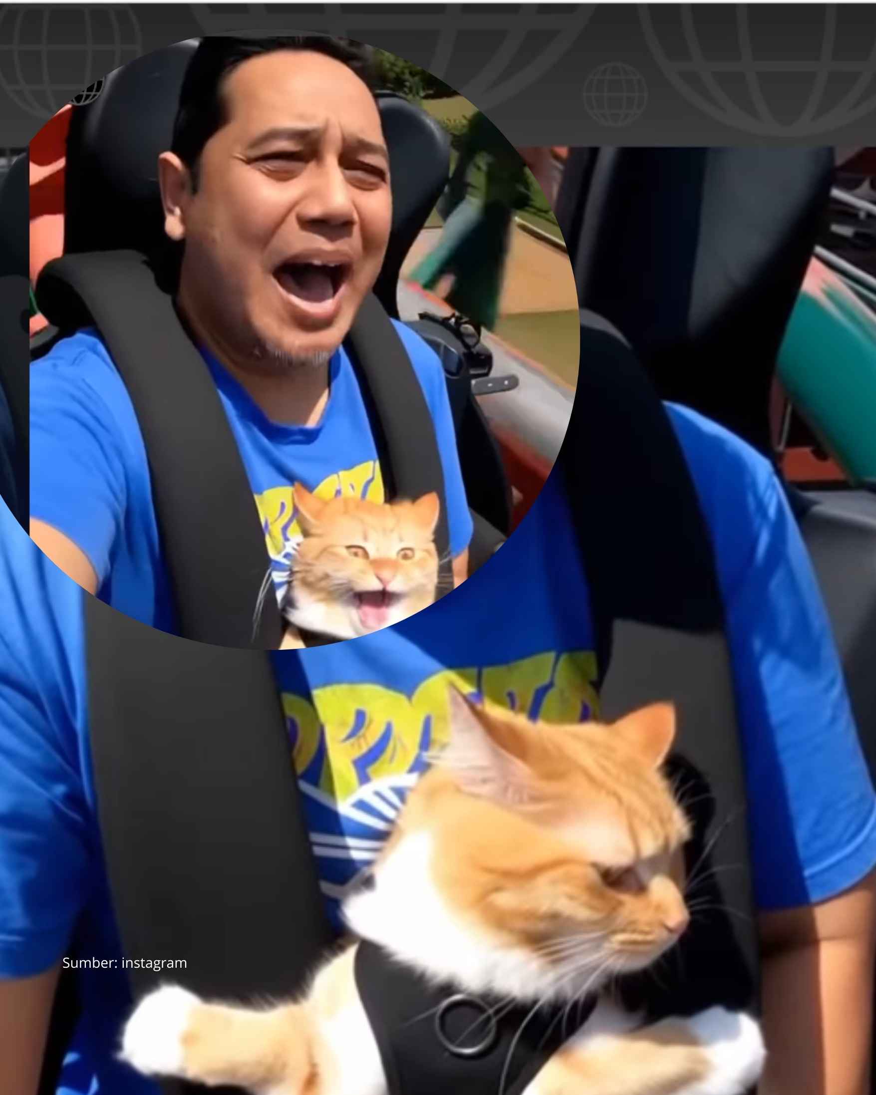 Ekspresi Kucing Ketika Naik Roller Coaster