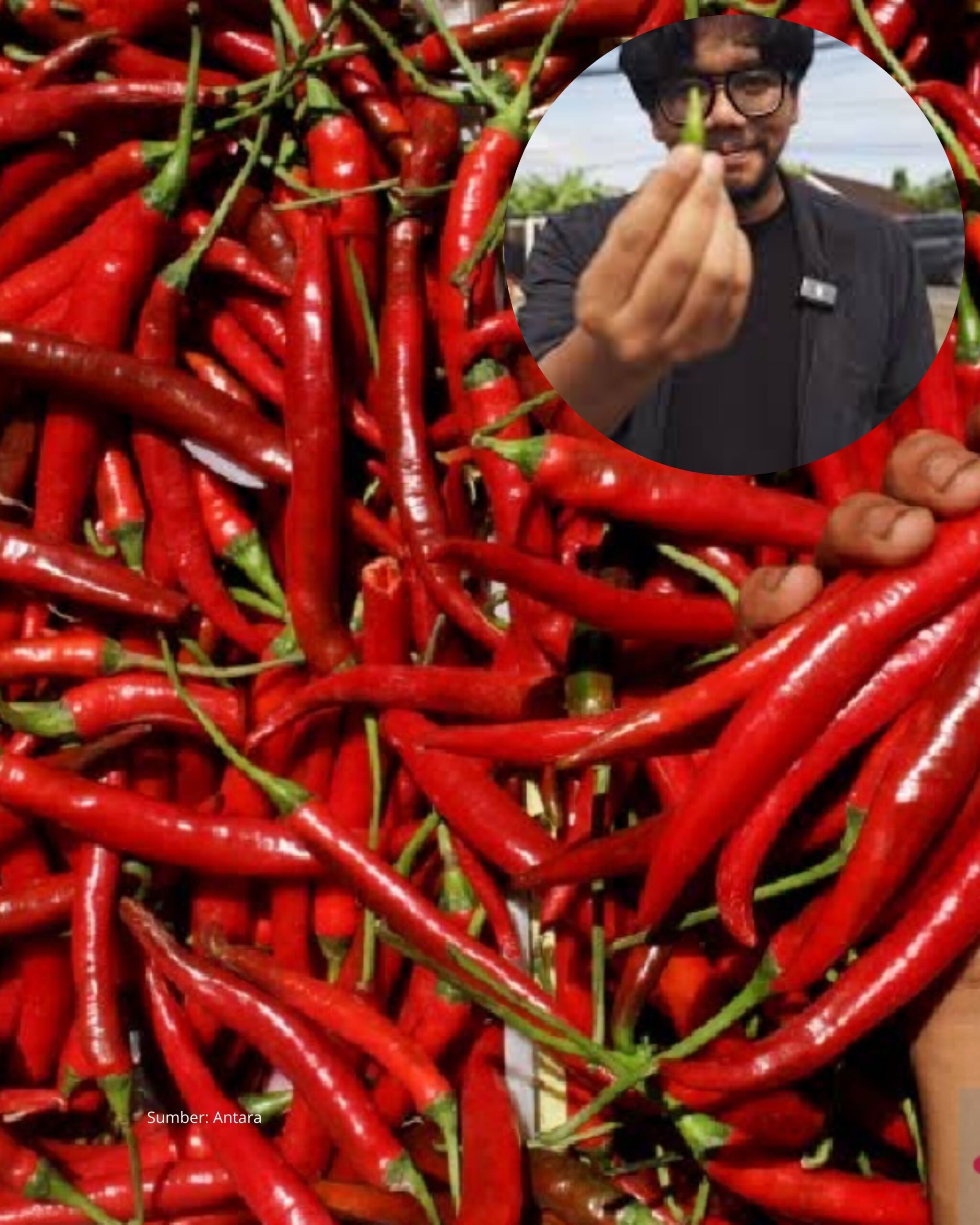 Ferry Irwandi: Mengusulkan Agar Hasil Panen Cabai Petani Aceh Tengah di Jual ke Jakarta