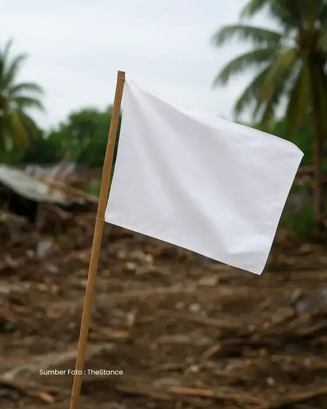 Warga Korban Banjir di Aceh Mengibarkan Bendera Putih di Berbagai Titik Sebagai Tanda Keputusasaan.