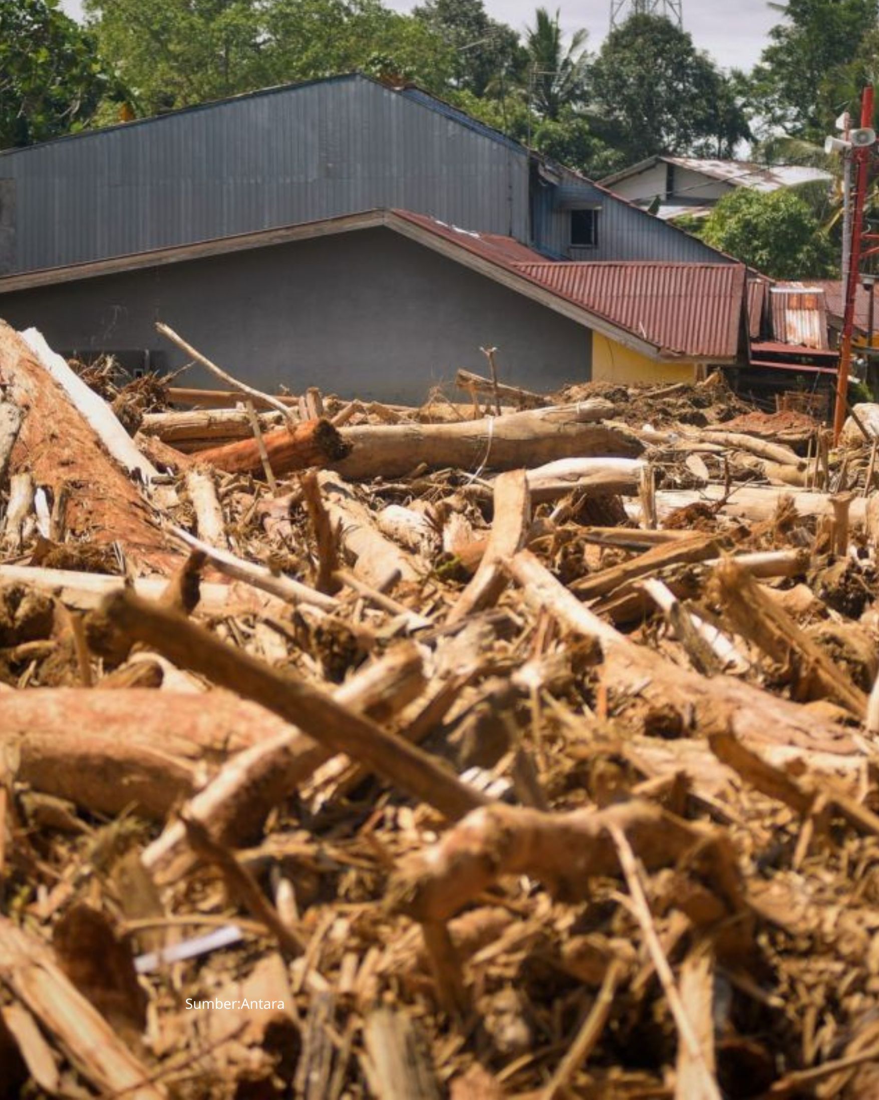 Bupati Aceh Tamiang Minta Fatwah Soal Kayu Gelondongan