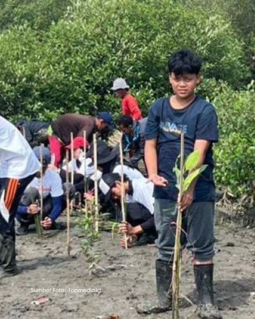 Siswa Kelas 8 SMPN 1 Surabaya Berusia 13 Tahun, Aktif Menanam dan Merawat Lebih dari 18.200 Bibit Pohon Mangrove di Pesisir Surabaya