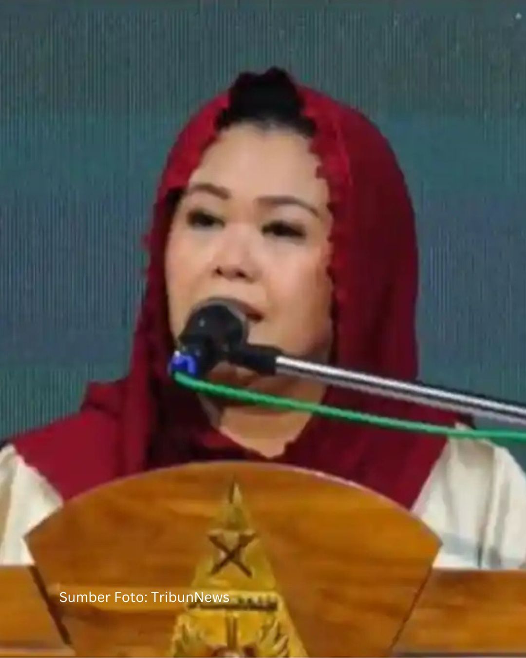 Yenny Wahid Ungkap Luhut Tak Setuju Dengan Kebijakan Pemberian Izin Tambang Kepada Ormas NU