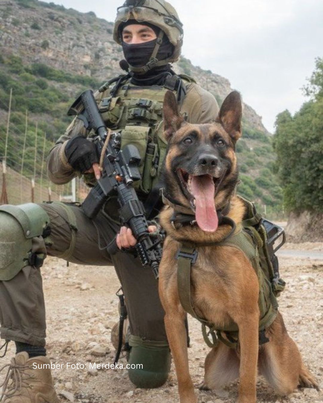 Tentara Israel Sengaja Lepas Anjing Untuk Gigit Anak-anak Palestina