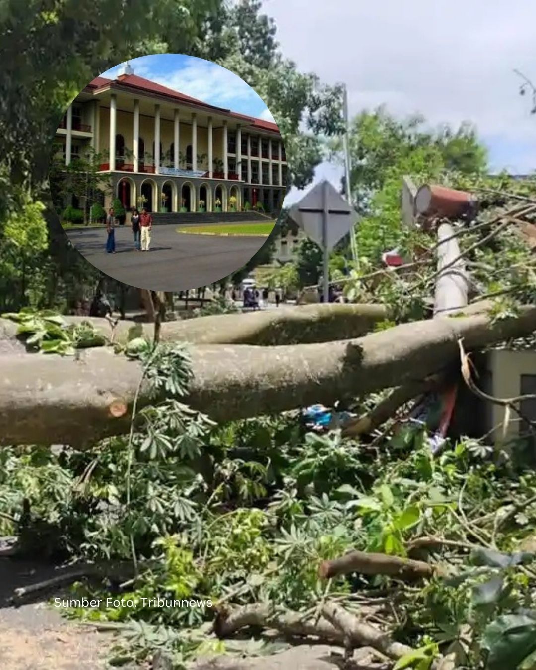 Tragedi Jalan Lembah UGM, Angin Kencang Renggut Dua Nyawa