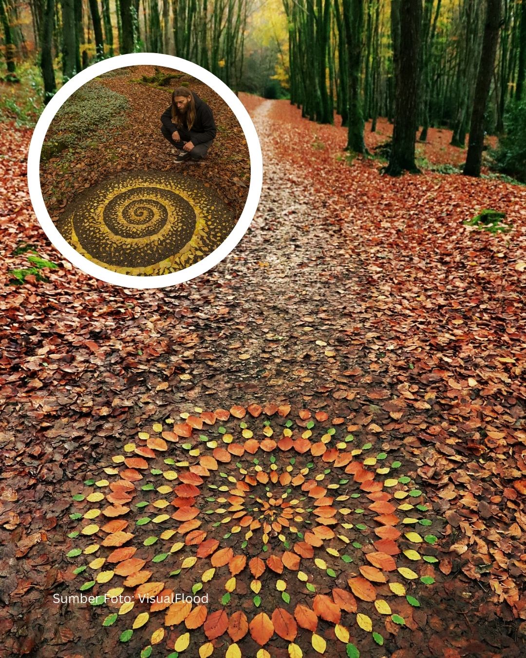 Karya Efemeral Jon Foreman: Mandala Daun yang Hilang Ditelan Angin dan Hujan
