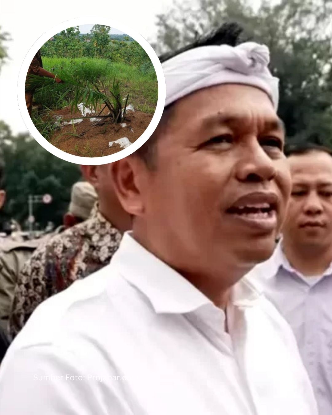 Sawit Dicoret dari Jawa Barat, Pakar IPB Sentil Gubernur!