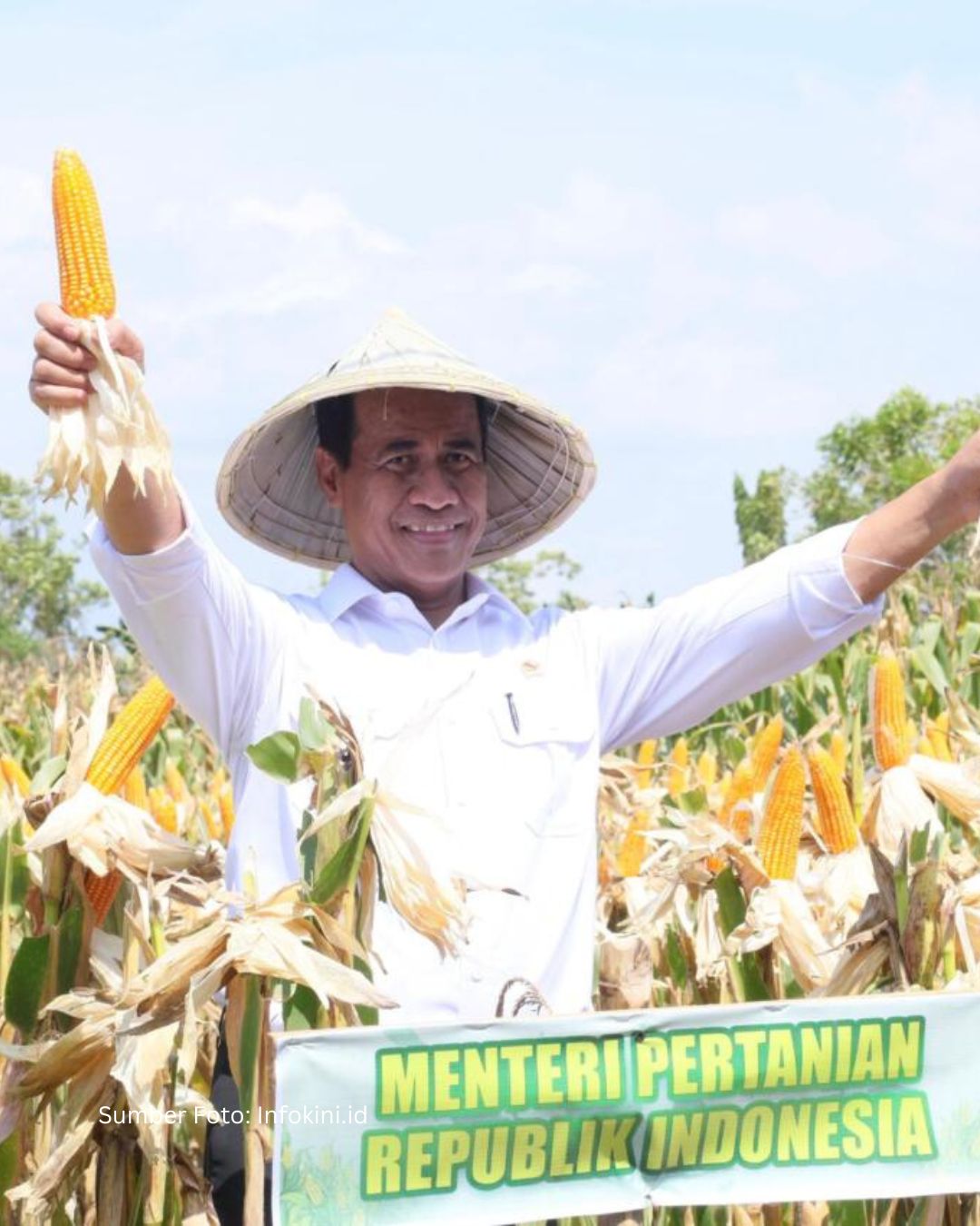 Panen Raya Nasional 2026: Indonesia Umumkan Swasembada Pangan!
