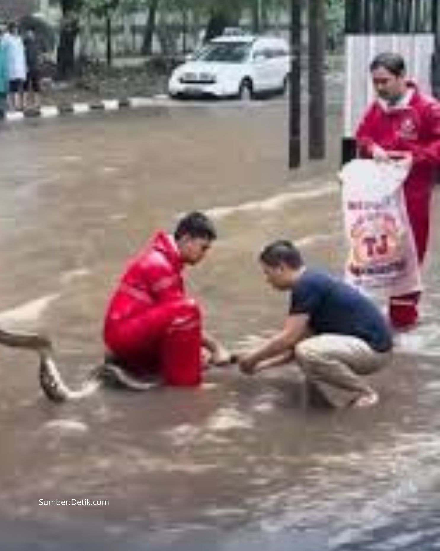 Aksi Gercep Damkar Mengevakuasi Ular Sanca di Tengah Banjir Jakarta