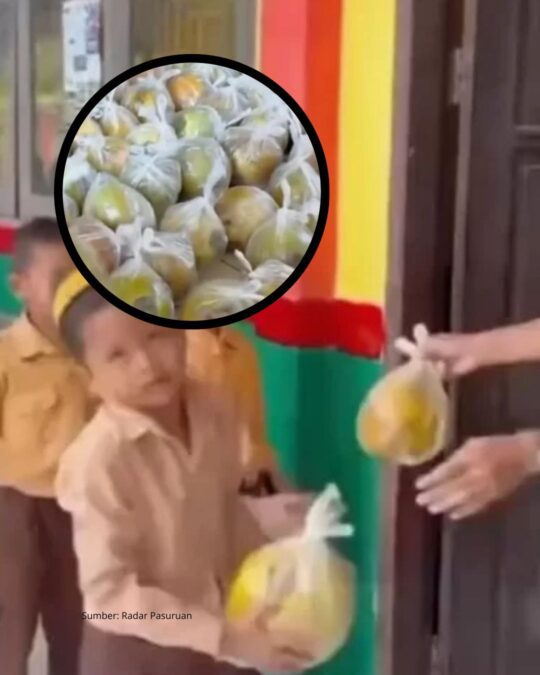 Viral: Pembagian MBG Berupa Kelapa Utuh di Kutai Kartanegara Tua Respon