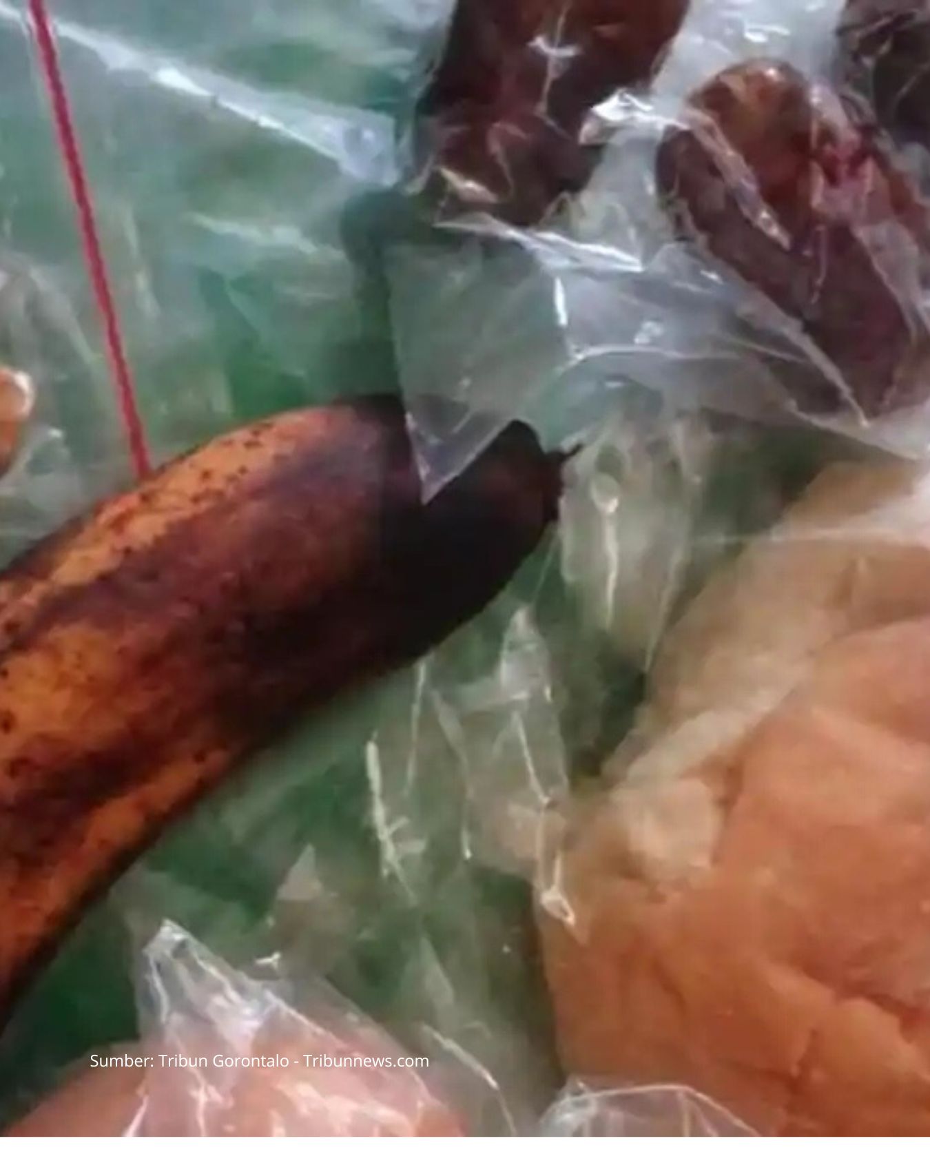 BGN Evaluasi Total MBG Ramadan Kemasan Hingga Menu di Ganti