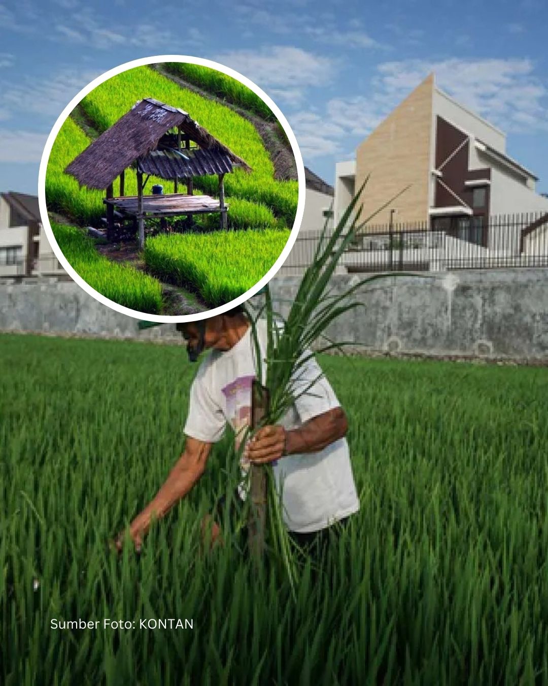 Prabowo Teken Perpres Sawah Abadi, 87% Lahan Nasional Dikunci
