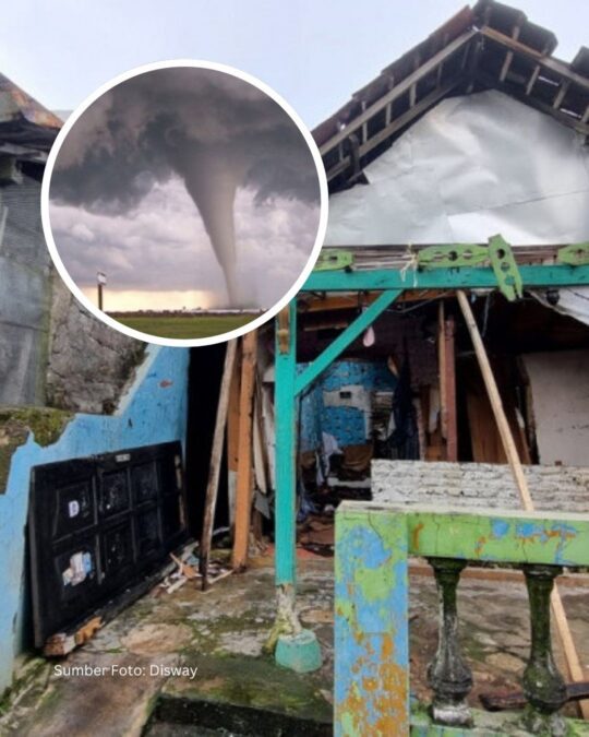 Angin Kencang & Puting Beliung Terjang Jateng-Jakarta: Pohon Tumbang, Rumah Rusak!