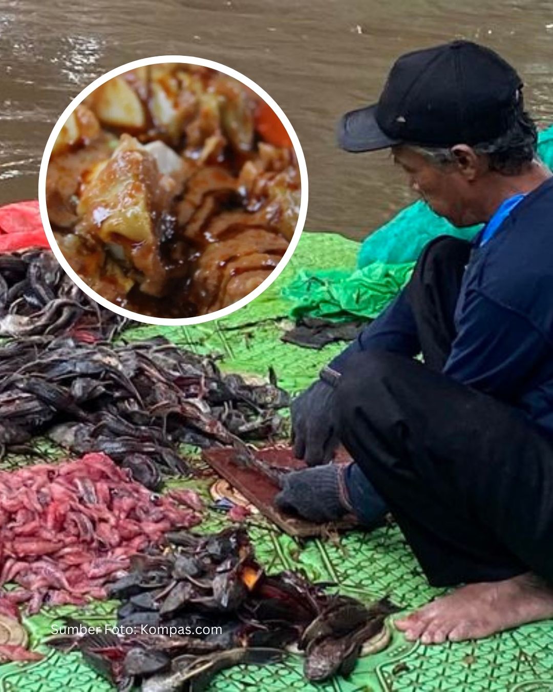 Ikan Sapu-Sapu Ciliwung: Dari Hama Invasif Jadi Campuran Siomay