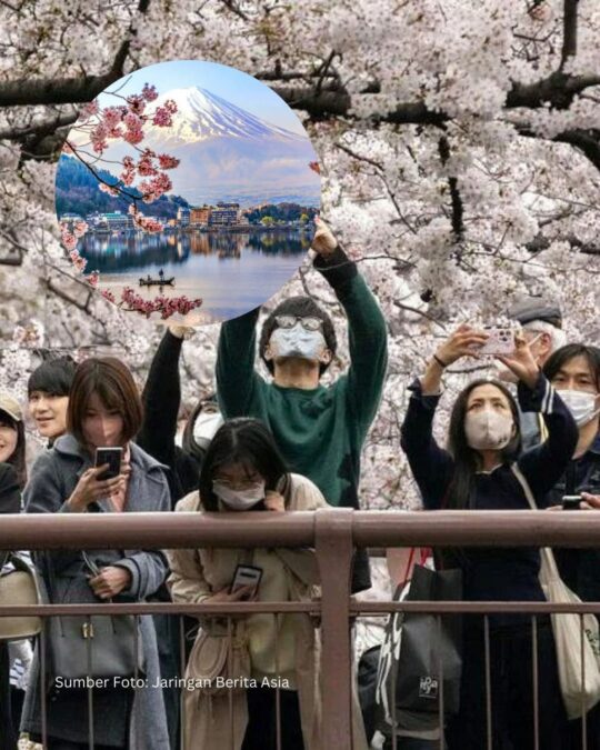 Fujiyoshida Hentikan Festival Sakura, Warga Terganggu Overtourism