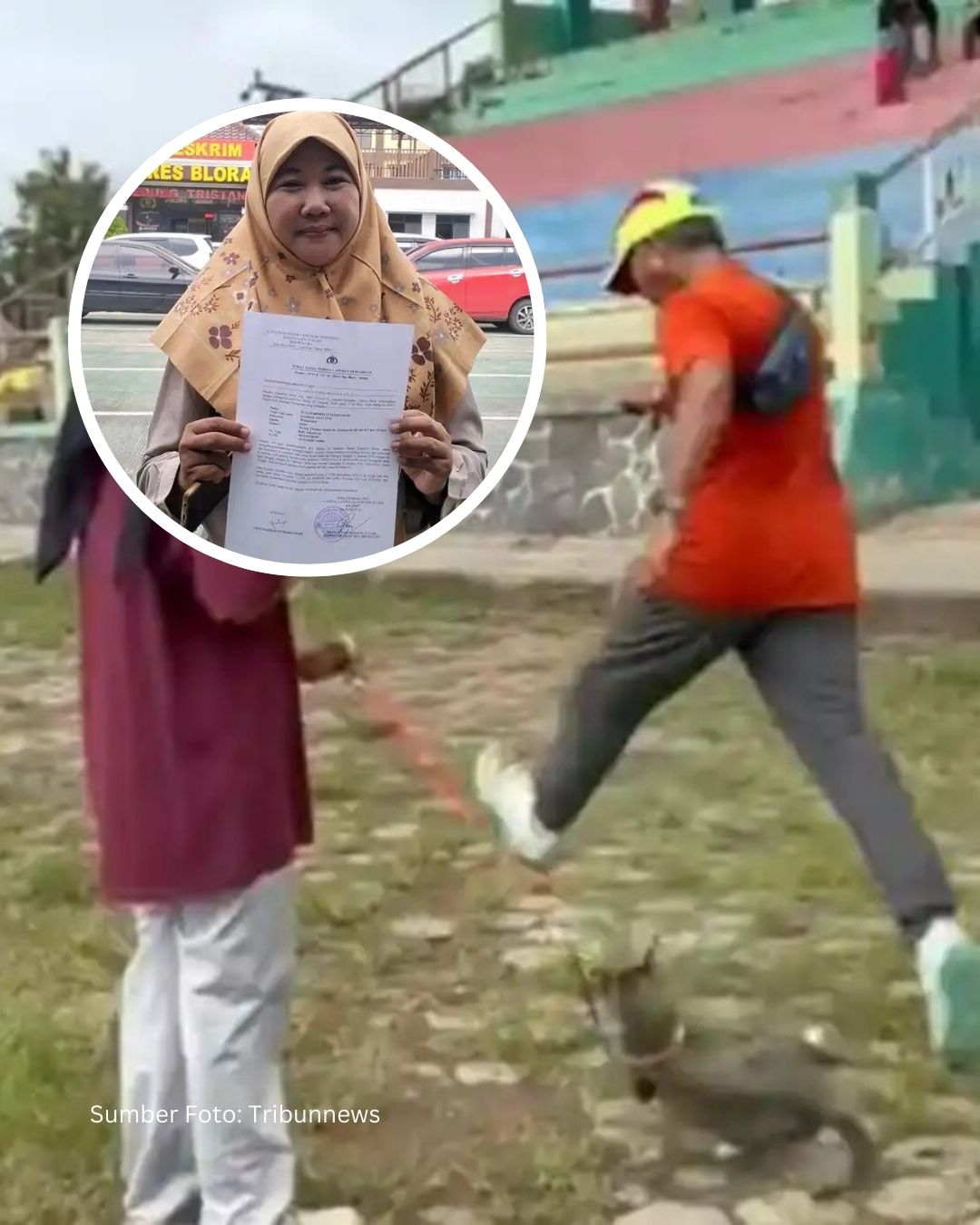 Pensiunan ASN Blora Jadi Tersangka Usai Tendang Kucing