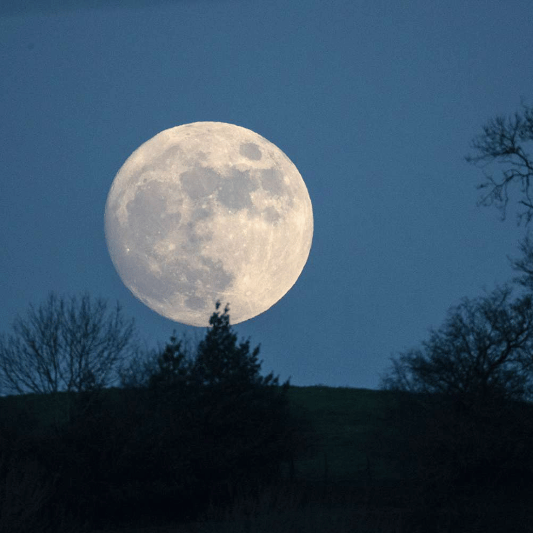 International Observe the Moon Night - 19 September International Observe the Moon Night - 19 September