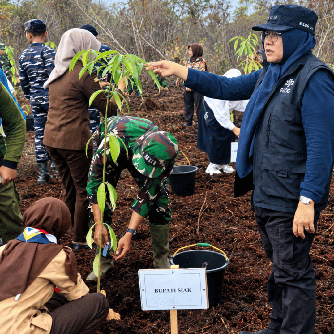 Bupati Siak Afni Zulkifli Hijaukan Lahan Bekas Karhutla, Cegah Beralih Fungsi Menjadi Kebun Sawit