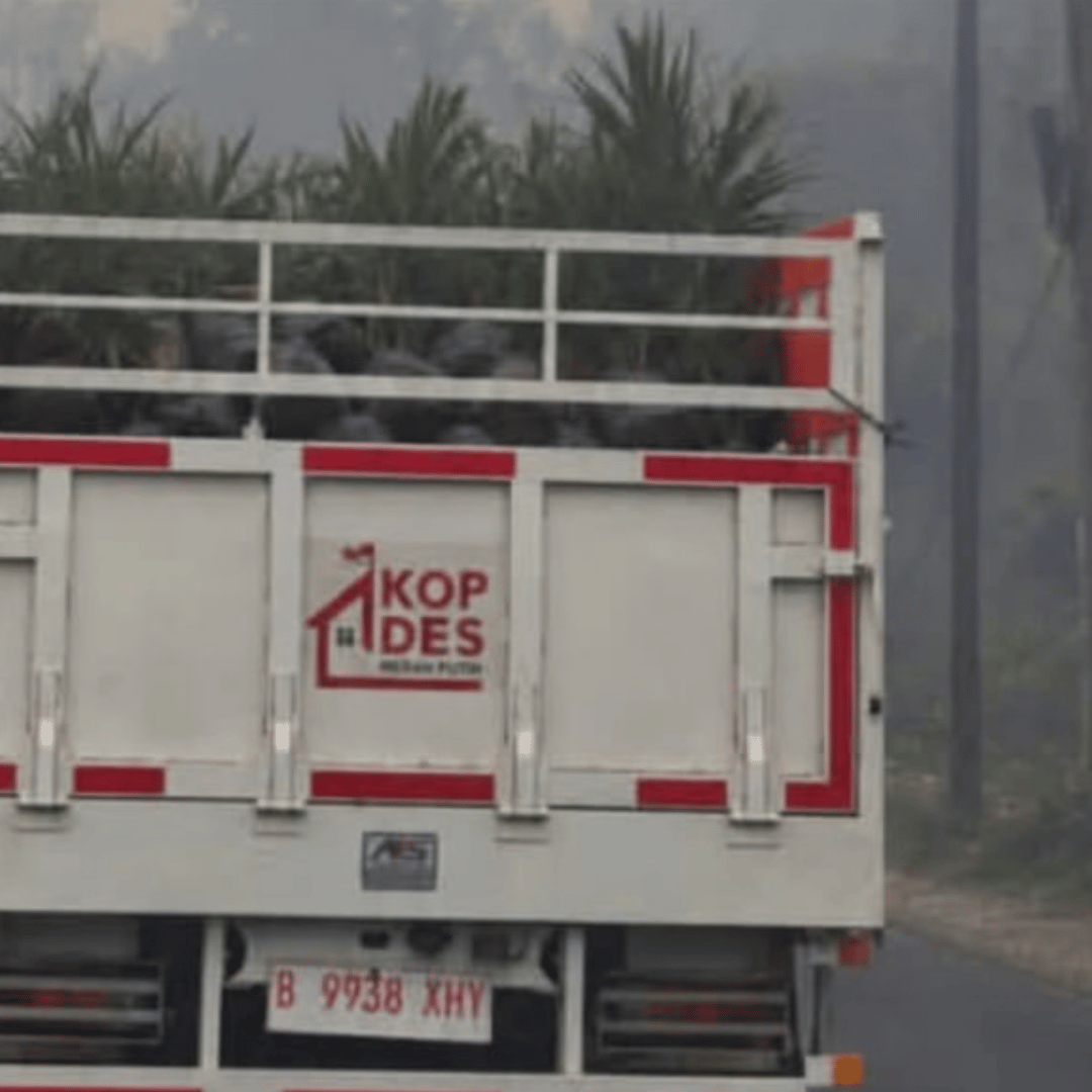 Truk Kopdes Merah Putih Angkut Bibit Sawit di Tengah Kabut Asap Karhutla, Tuai Sorotan Warganet